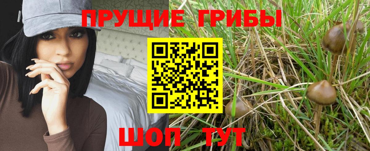 Псилоцибиновые грибы мухоморы  Вход с VPN  Санкт-Петербург 